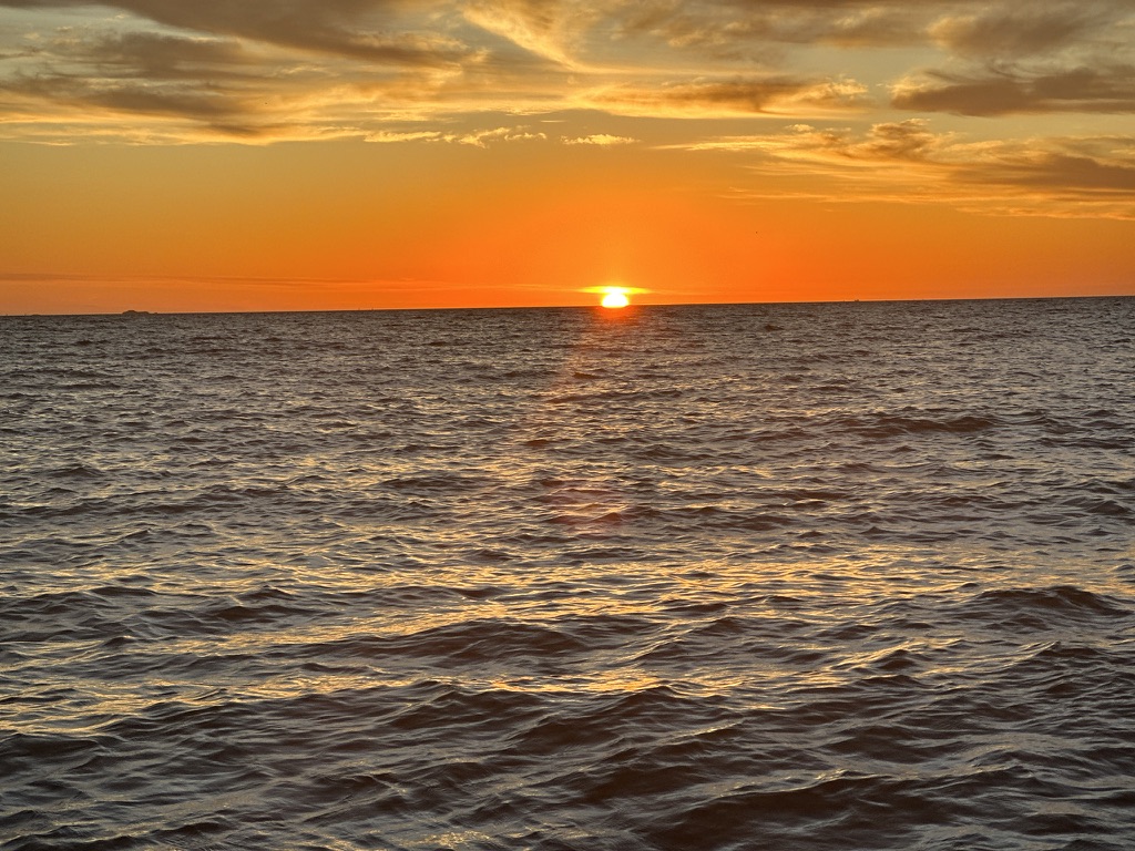 C4D634B3-F3EB-4341-81B1-77FD10BC1869_1_105_c