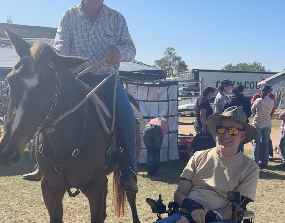 a person in a wheelchair, next to a horse & cowboy